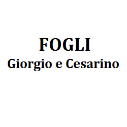 Fogli Giorgio e Cesarino Comacchio, Lido Degli Estensi - Orari di apertura