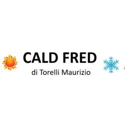 Cald Fred di Torelli Maurizio, Ferrara orari di apertura