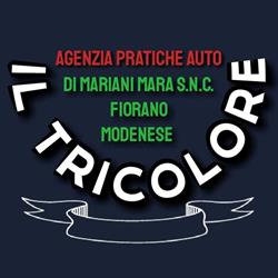 Agenzia Pratiche Automobilistiche Il Tricolore Di Mariani Mara SNC, Fiorano Modenese orari di apertura
