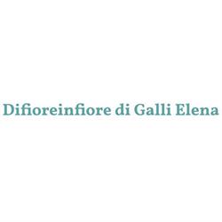 Di Fiore in Fiore, Gragnano Trebbiense orari di apertura