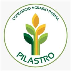 Consorzio Agrario Parma - Agenzia di Pilastro, Langhirano orari di apertura