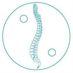 Studio Osteopatico Macchelli Di Macchelli Giuseppe E Elena S.A.S., Modena orari di apertura