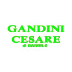 Tappezzeria Gandini Cesare, Parma orari di apertura