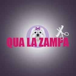 Qua La Zampa SNC, Pontenure orari di apertura