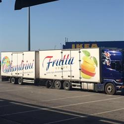 Calandrini Frutta S.r.l., Rimini orari di apertura