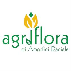 Agriflora Di Amorfini Daniele, Monti orari di apertura