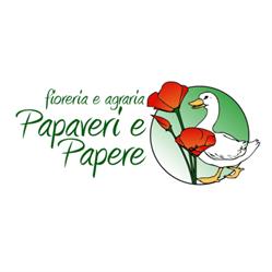 Fioreria Papaveri e Papere, Cervignano del Friuli orari di apertura