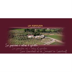 Azienda Agricola La Fortuna, Montalcino orari di apertura