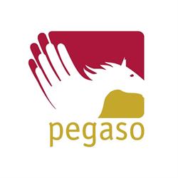 Pegaso Fondo Pensione Compl. Lavoratori Imprese, Roma orari di apertura