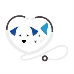 Ambulatorio Veterinario Lotti - Santangelo, Maniago orari di apertura