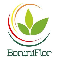 Floricoltura Bonini Roberto - Bella Farnia, Sabaudia orari di apertura