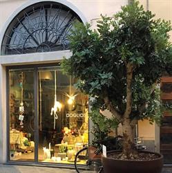 Dogliosi Rossella e Stefania SNC, Pistoia orari di apertura