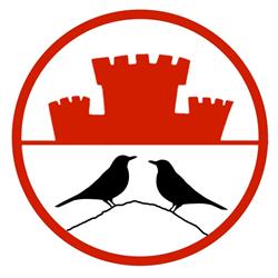 Merli S.r.l., Reggello orari di apertura