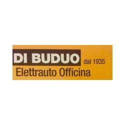 Di Buduo Elettrauto Officina, Rosignano Marittimo orari di apertura