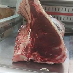 Ristorante Michelangelo, Seravezza orari di apertura
