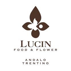Lucin, Andalo orari di apertura