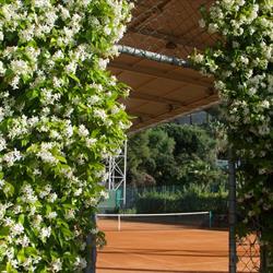 Circolo Del Tennis Imperia, orari di apertura