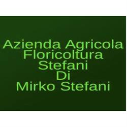 Ortofloricoltura Stefani snc, Grigno orari di apertura