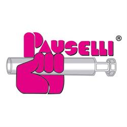 Pauselli S.r.l., Città di Castello orari di apertura