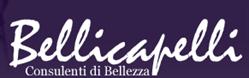 Bellicapelli SNC Di Gamberi Gabriella e Traversini, Città di Castello orari di apertura