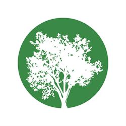 Punto Verde Vivai Piante F.Lli Rosa Progettazione Realizzazione Verde, Borgoricco orari di apertura