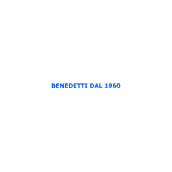 Benedetti Automobili dal 1960, Bussolengo orari di apertura