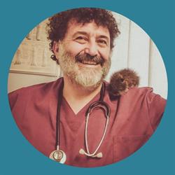 Benini Fabrizio, Carbonera orari di apertura