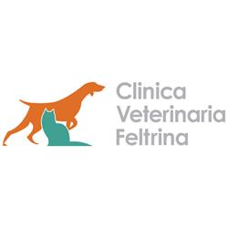 Clinica Veterinaria Feltrina, Feltre orari di apertura