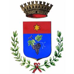 Comune Di Fossalta Di Piave, Fossalta di Piave orari di apertura