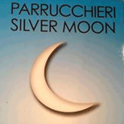 Parrucchieri Silver Moon, Torino orari di apertura