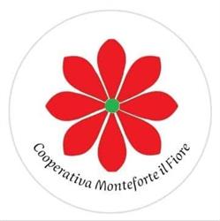 Monteforte Il Fiore, Monteforte d'Alpone orari di apertura