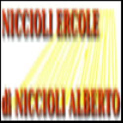 Niccioli Ercole Verniciature, Trontano orari di apertura