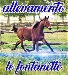 Allevamento Le Fontanette (S.r.l.), Vigone orari di apertura