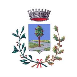 Comune Di Pianiga, orari di apertura