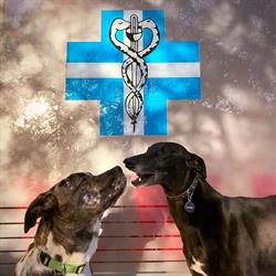Ambulatorio Veterinario Canova Di Giacomini Alessandro, Pieve di Soligo orari di apertura