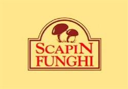 Scapin Funghi S.N.C. Di Scapin Enzo & C. Ortofrutta Roana, Treschè Conca - Orari di apertura