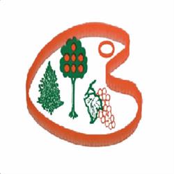 Societa Agricola Florovivaistica Bevilacqua A. & G. S.S. Vivai - Piante - Floricoltura, San Giovanni Ilarione orari di apertura