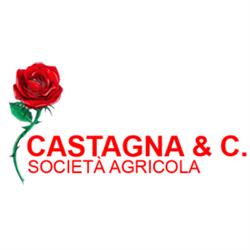 Societa' Agricola Castagna & C. S.S., Ghisalba orari di apertura