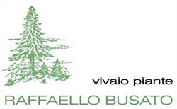 Raffaello Busato Vivaio Piante, Scorzè orari di apertura