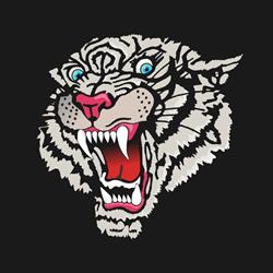 Associazione Sportiva Dilettantistica Maverick Boxing Gym, Selvazzano Dentro orari di apertura