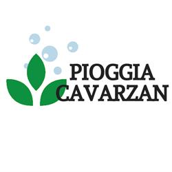Cavarzan Giuliano Impianti Di Irrigazione, Vedelago orari di apertura