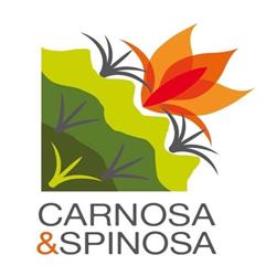 Carnosa & Spinosa, Manerba del Garda orari di apertura