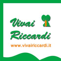 Società Agricola Vivai Riccardi, Orzinuovi orari di apertura