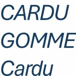 Cardu Gomme di Cardu Angelo, Pavia orari di apertura