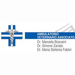 Ambulatorio Veterinario Associato Boscaini e Fabbri, Roncoferraro orari di apertura
