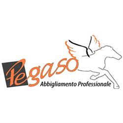 Pegaso Abiti Da Lavoro, Campiglia Marittima orari di apertura