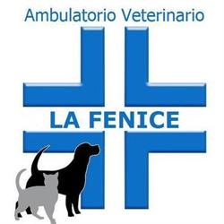 Ambulatorio Veterinario La Fenice, Alba Adriatica orari di apertura