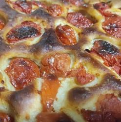 Panificio Lavermicocca Snc, Bari orari di apertura