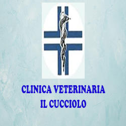 Clinica Veterinaria Il Cucciolo, Napoli orari di apertura