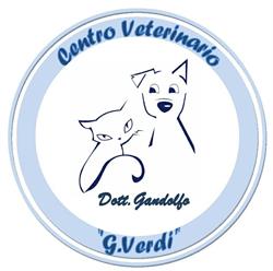 Centro Veterinario Giuseppe Verdi Di Gandolfo Dottor Emanuele, Traversetolo orari di apertura